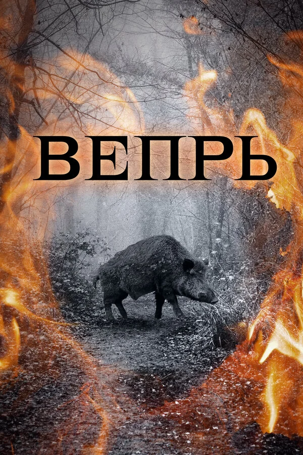 Вепрь сериал 2005 смотреть онлайн бесплатно в хорошем качестве HD